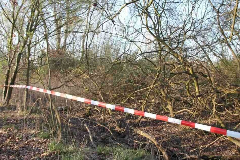 Auf diesem abgelegenen Weg soll der Mann die Frau vergewaltigt haben.