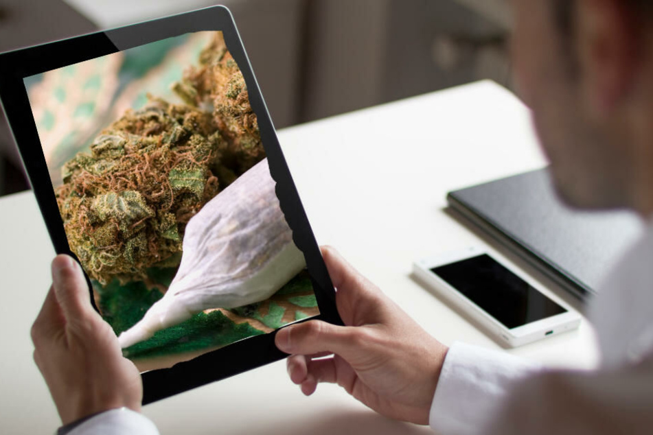 Der Duft von Cannabis war ihnen aus vergangenen Ermittlungen bekannt. (Symbolbild)