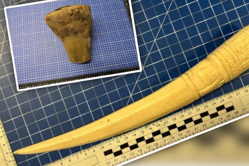 Leipzig: Schmuggler fliegen am Airport Leipzig auf: Elefanten- und Rhino-Hörner sichergestellt!