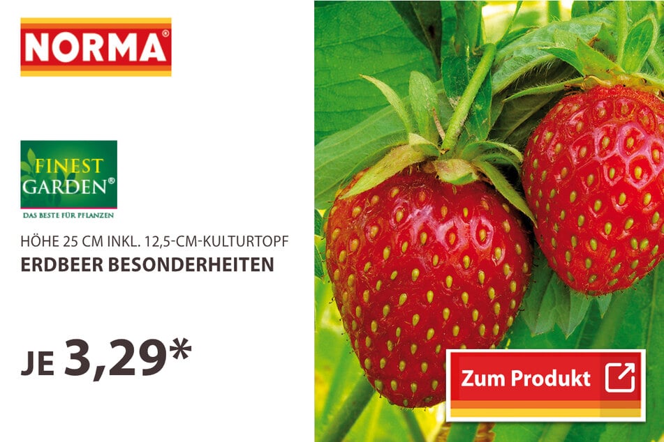 Erdbeer Besonderheiten