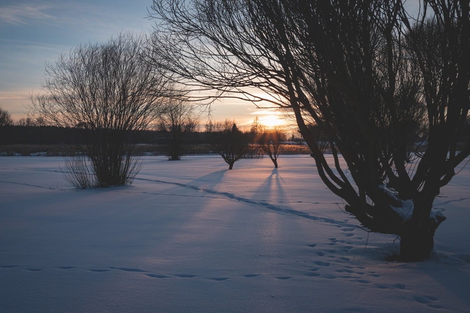 According to experts, one in 20 US adults may suffer from seasonal affective disorder during the winter.