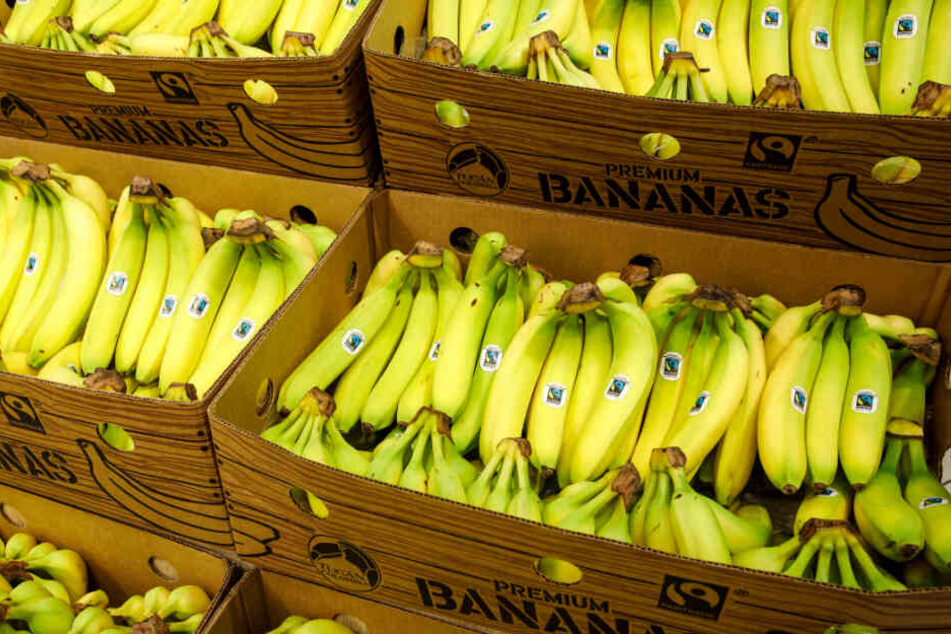 viele reden davon doch kaufen wollen es nur wenige lidl nimmt fairtrade bananen zuruck tag24
