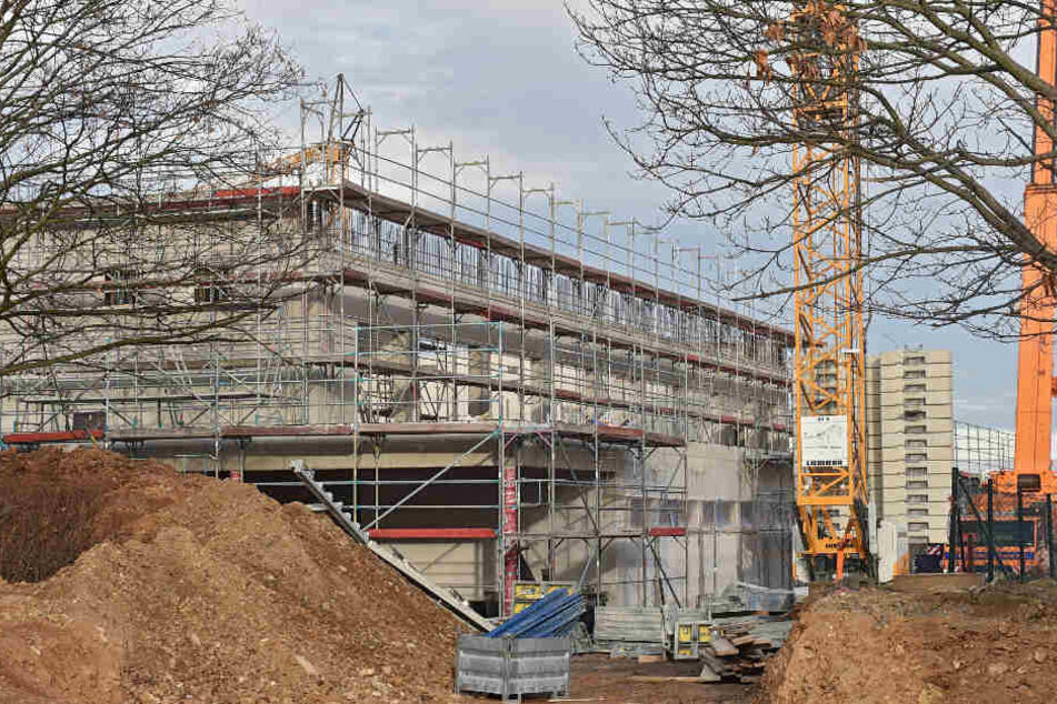 Mit Beginn des neuen Schuljahres muss die Halle fertig sein. Wegen extrem vieler Schüler wird die alte Sporthalle als Zusatz-Schule und Mensa gebraucht.