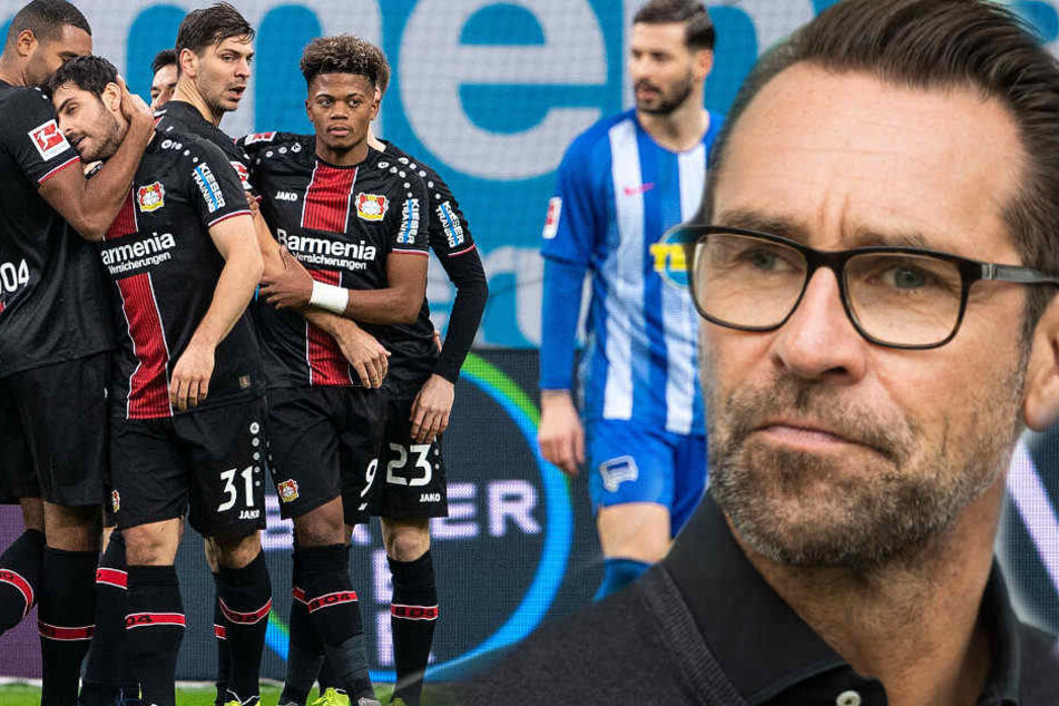 Michael Preetz war mit den Leistungen in den letzten Spielen nicht zufrieden. (Bildmontage)