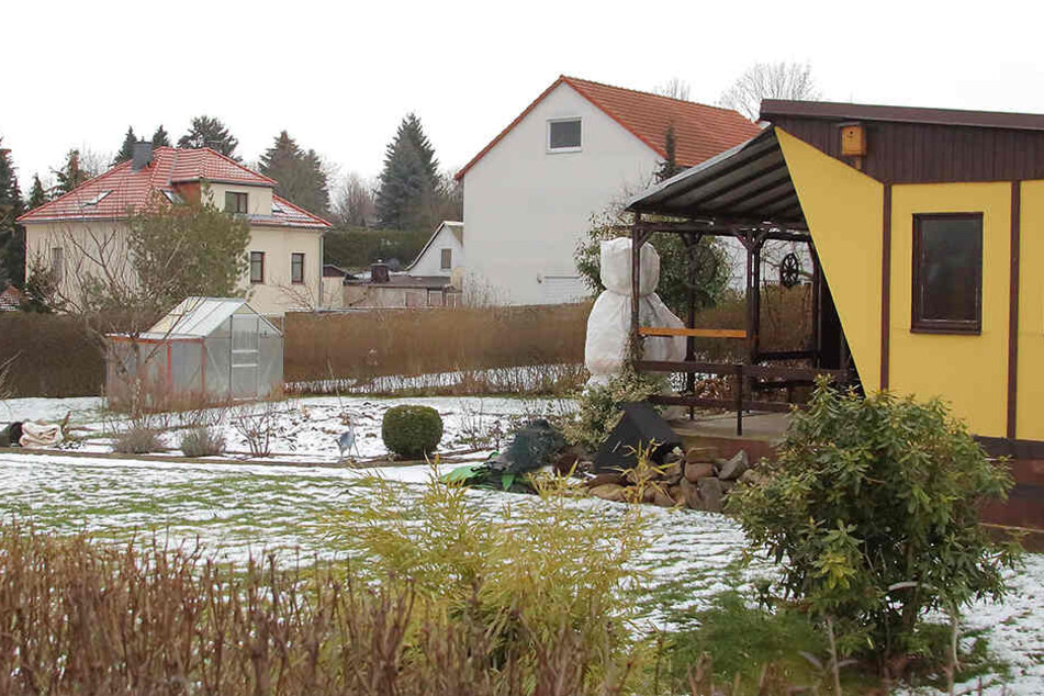In diesem Gewächshaus des Vaters gediehen die ersten Cannabispflanzen, die der Junior anbaute.