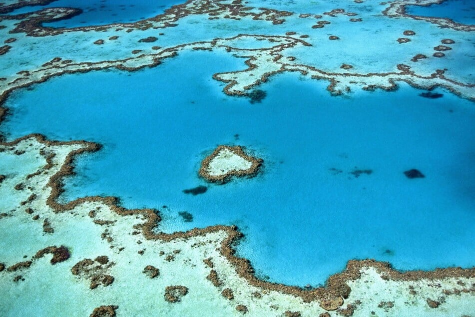Australia's Great Barrier Reef avoids getting listed as endangered