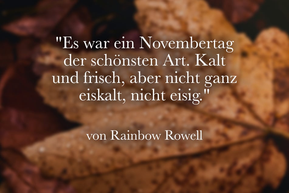 Zum November passt der Spruch von Rainbow Rowell: "Es war ein Novembertag der schönsten Art. Kalt und frisch, aber nicht ganz eiskalt, nicht eisig."