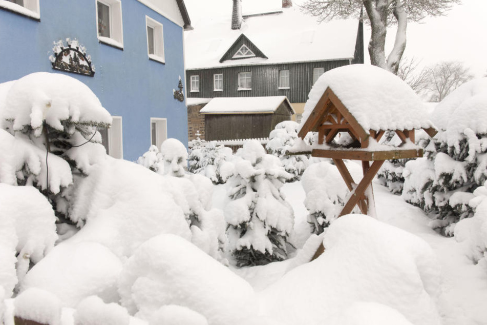 Kühnhaide versinkt in den Schneemassen. Bis zu 40 Zentimeter Neuschnee sind hier in den vergangenen Tagen gefallen.