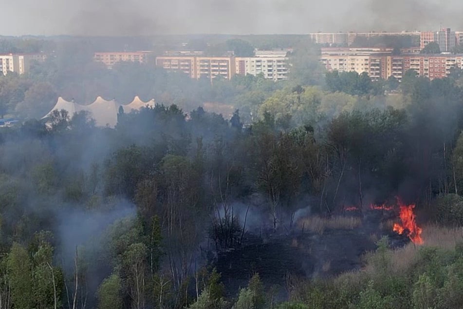 Dunkle Rauchschwaden über Rostock: Feuerwehr im Großeinsatz