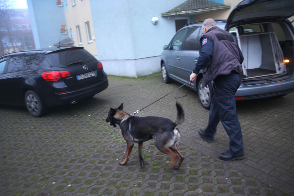 Castrop-Rauxel: Ein Polizeihund wird zu einem Wohnhaus geführt.