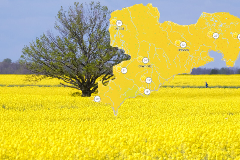 Sonne satt in Sachsen, doch das wird sich ganz schnell ändern