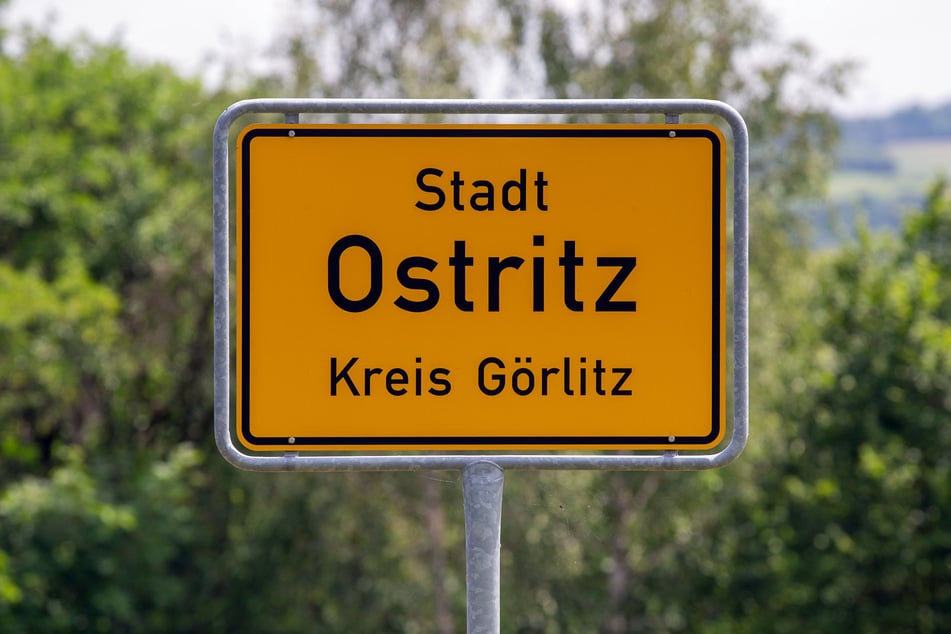 In Ostritz starben mehrere Jungstörche auf mysteriöse Weise.