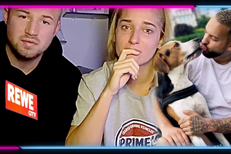 Ekel-Drama um versiffte Küche: Hater treten Hund von Ex-Serien-Star auf REWE-Parkplatz