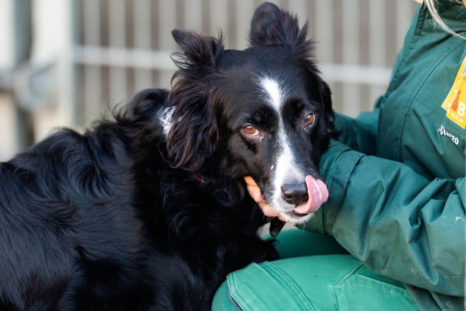 Fena Maria byla objevena v metru a od pečovatelky si získává pohlazení.