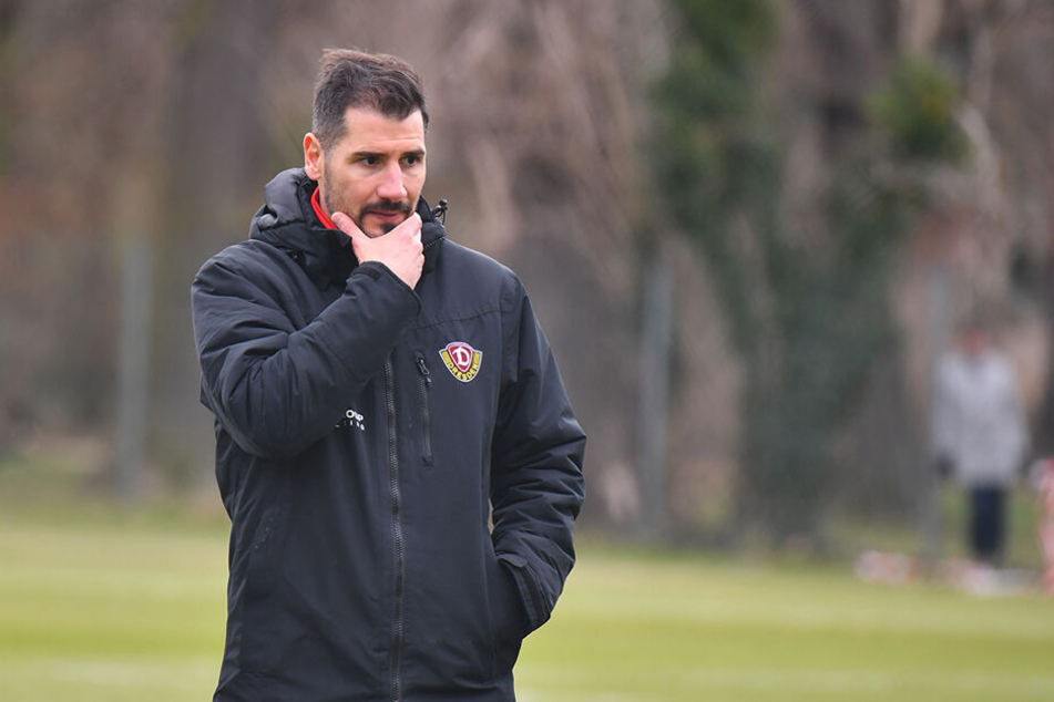 Dynamo-Coach Cristian Fiel setzte nicht mehr auf Rico Benatelli.