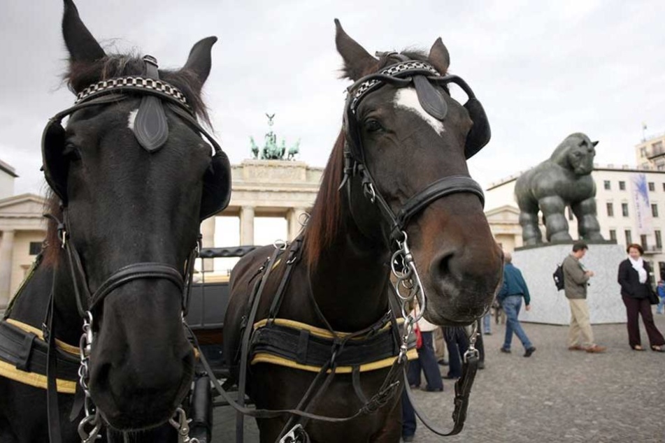 Könnte schon bald der Vergangenheit angehören: eine Pferdekutsche vor dem Brandenburger Tor.