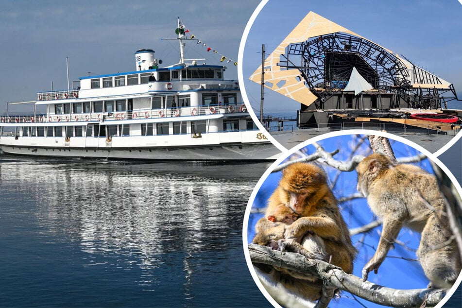 Sehnsucht nach Seeluft? Das sind die Highlights für Euren nächsten Bodensee-Trip