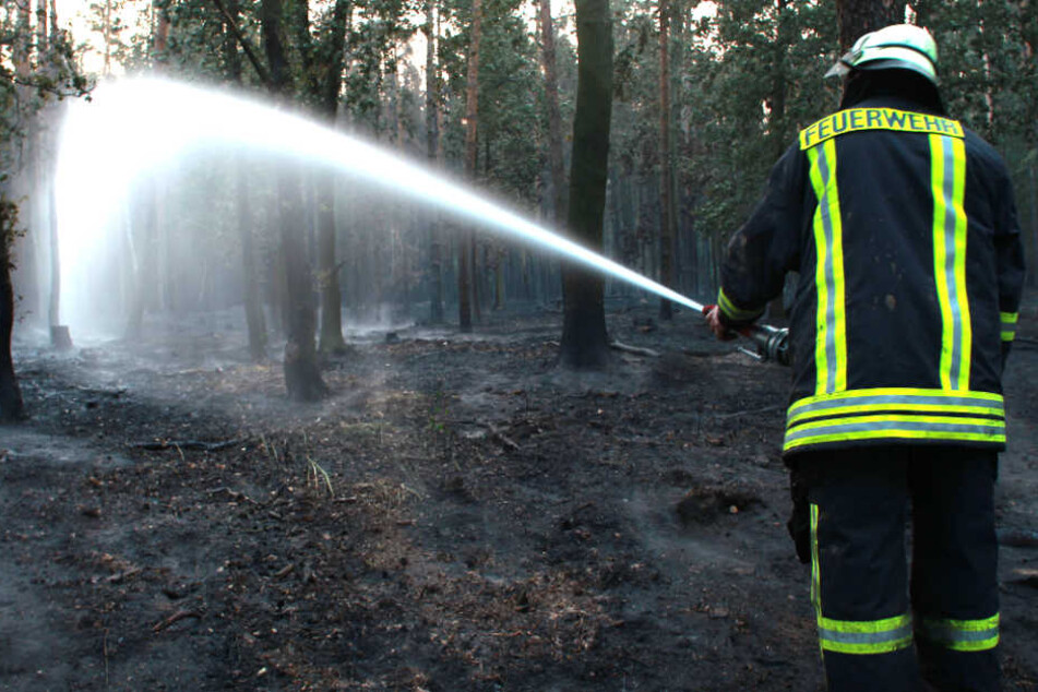 Ein Feuerwehrmann löscht einen Brand in einem Waldstück. (Symbolbild)