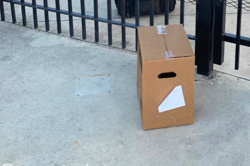 Woman opens a suspicious box: what she finds inside is heartbreaking