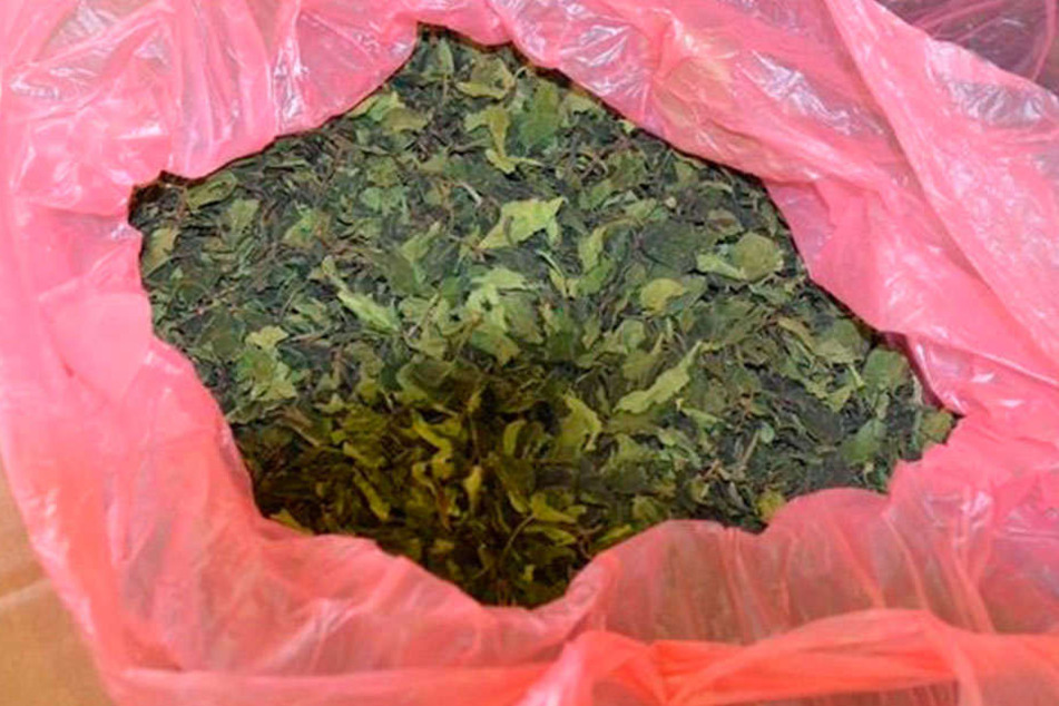 Eng gepresst wird die Kau-Droge in Plastik gehüllt, aus Ostafrika versendet.