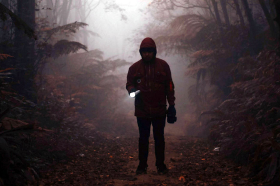 Auf der Suche nach dem Mörder müsst Ihr Euch im Wald zurechtfinden.