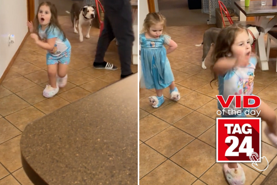 viral videos: Viral Video of the Day for December 15, 2023: Swiftie sisters throw mini-Eras Tour in kitchen!