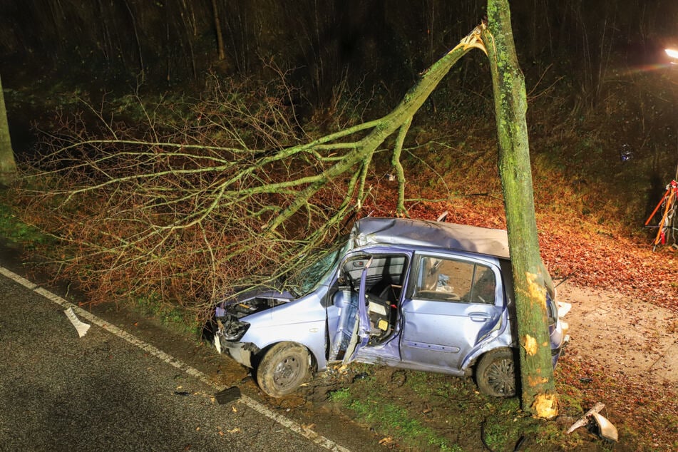 Durch die heftige Kollision brach ein Ast aus der Baumkrone und landete auf dem Auto.