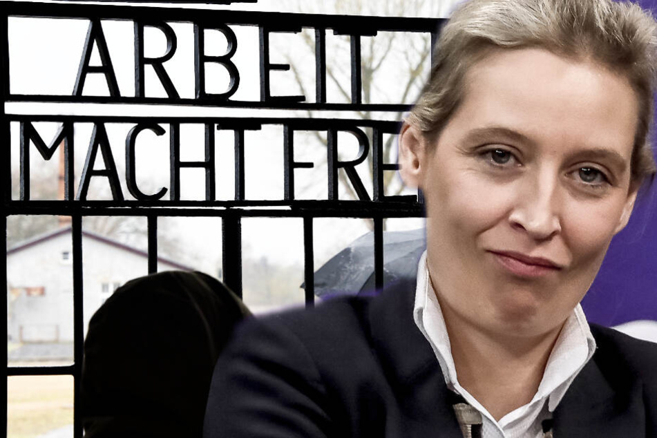 Die Besuchergruppe stammt aus dem Wahlkreis von Alice Weidel. (Bildmontage)