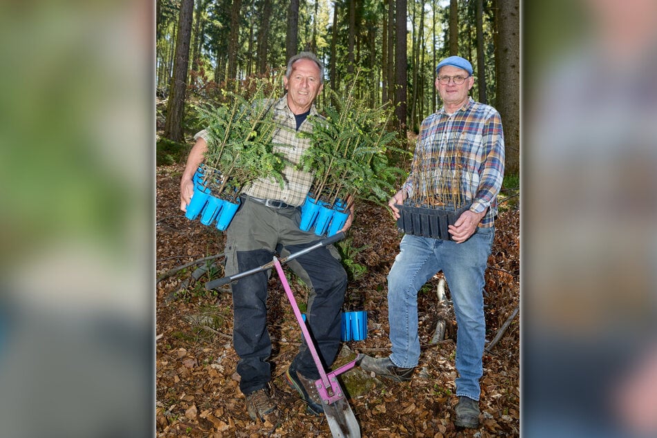 Karl Schwald (67, l.) und Thomas Westphalen (68) packen beim Pflanzen der Bäumchen selbst mit an.