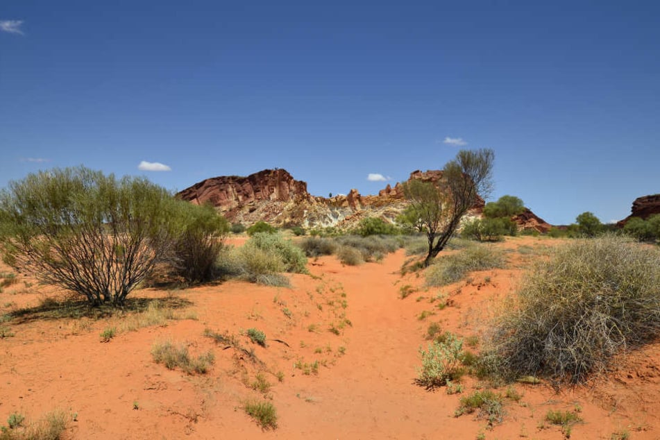 Im australischen Outback kann es tagsüber bis zu 40 Grad heiß werden!