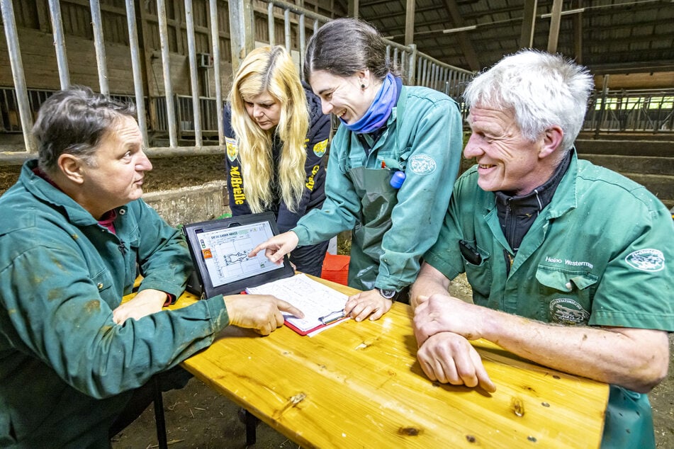 Das Team aus Tierärzten und Experten analysiert alles ganz genau.