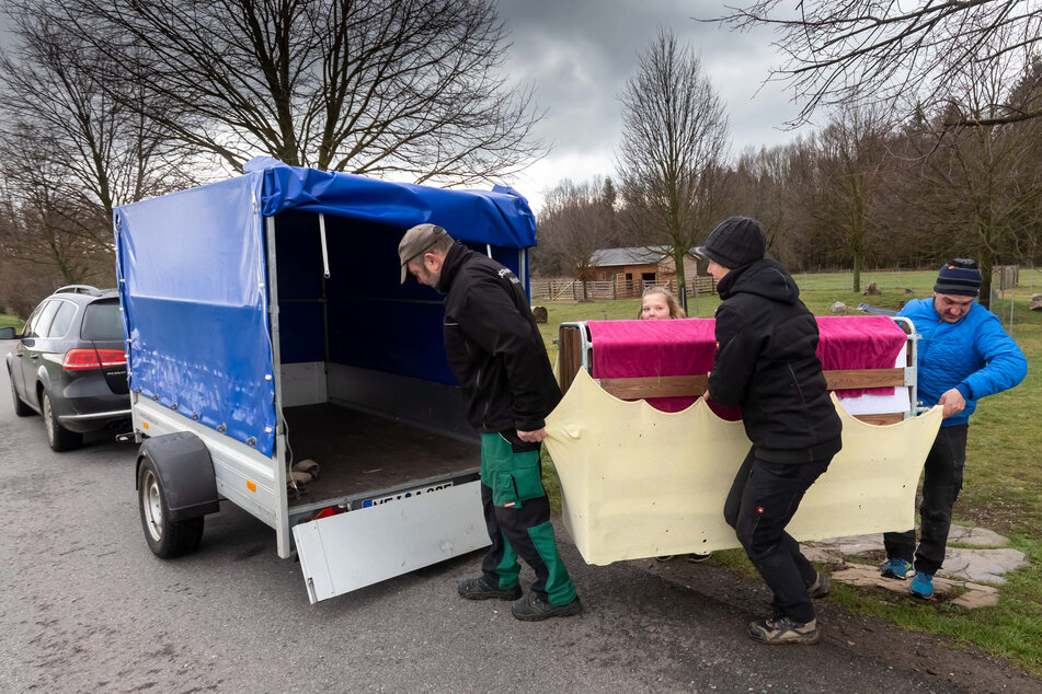 In einem Anhänger wurden die Tiere transportiert.