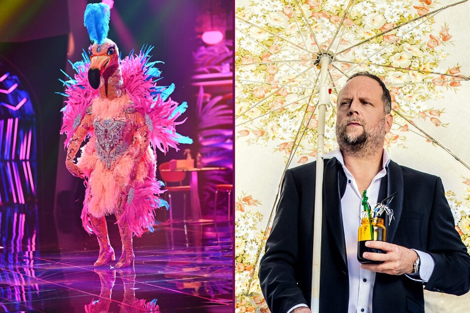 The Masked Singer: Verwirrung bei "The Masked Singer": Ist der Flamingo männlich oder weiblich?