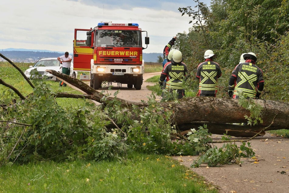 Orkanböen und Regen im Südwesten: Menschen verletzt, Straßen gesperrt
