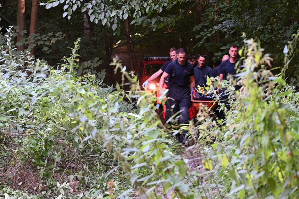 Ein Junge ist in einem Waldstück in Hamburg mit seinem Mountainbike gestürzt.