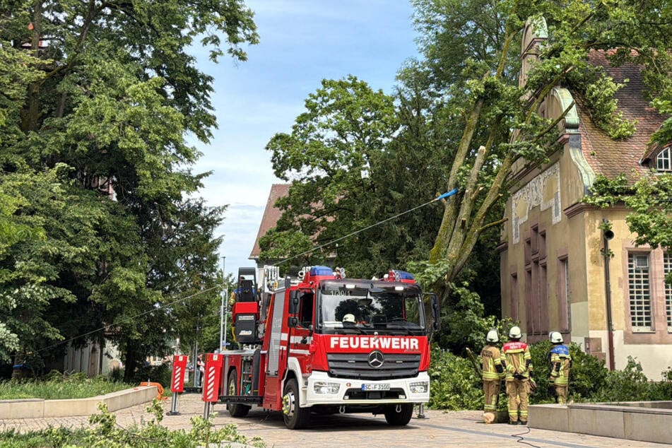 Quer durch Bayern wurden vielerorts – wie hier in Mittelfranken – Bäume beschädigt oder entwurzelt und fielen teilweise auf Häuser.