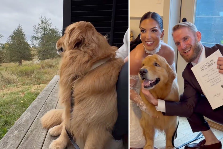 Poco después de su boda, Jules y Tim Kuch fueron de luna de miel. Por supuesto, el compañero de cuatro patas "Wally" también los acompañó.