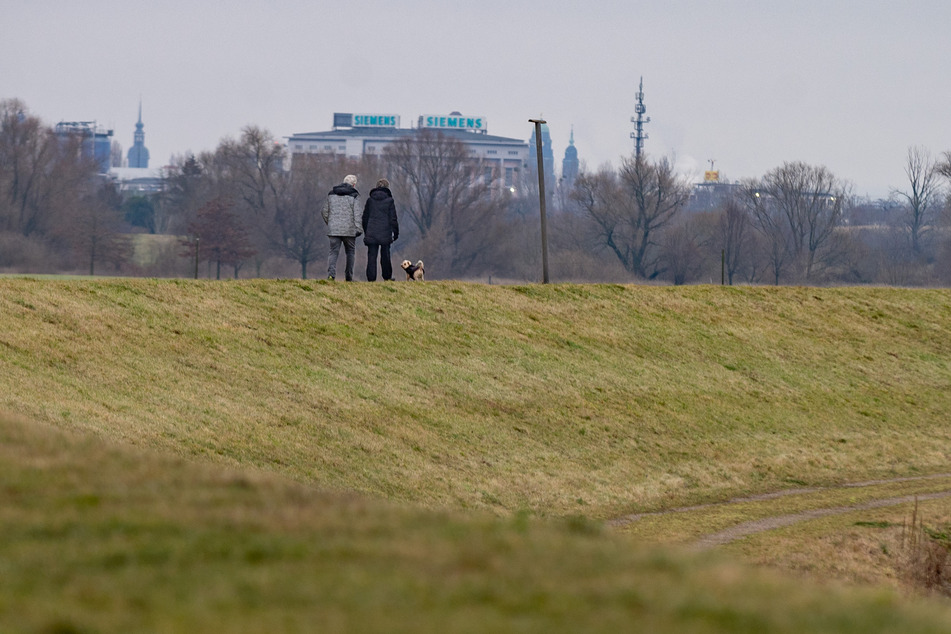 Ein Pärchen spaziert mit Hund auf der Deichkrone: Was harmlos wirkt, ist vielerorts untersagt!