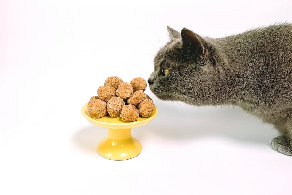 Vitamine für Katzen: Die Dosis macht's