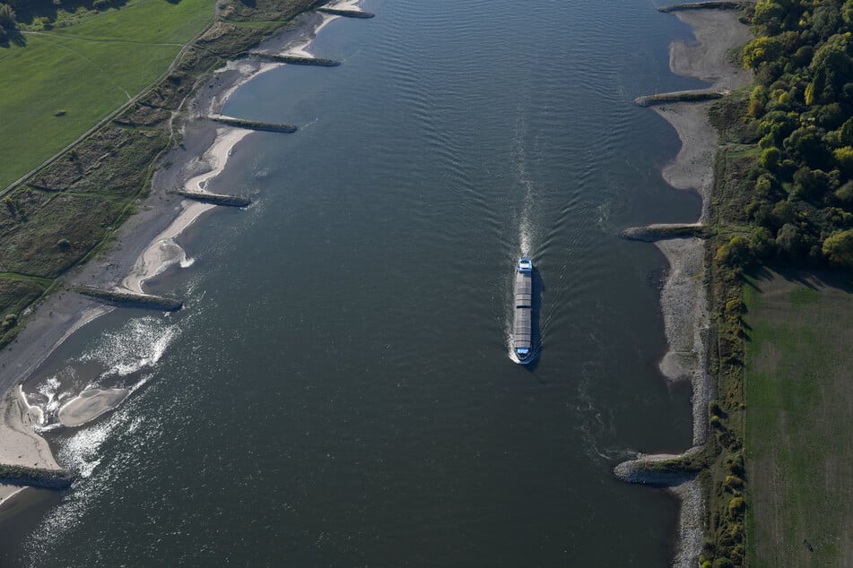 Stellenweise ist die Verschmutzung im Rhein den Angaben von Greenpeace zufolge rund doppelt so hoch wie noch 2020.