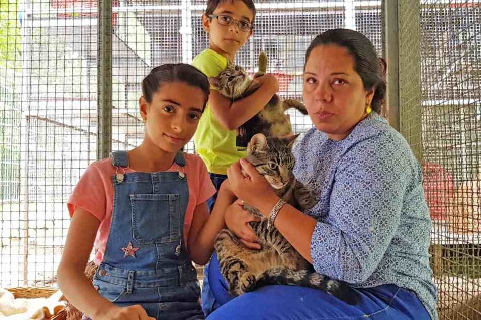 Die Flüchtlingsfamilie Alogaili muss ins Tierheim gehen, um ihre Lieblinge zu besuchen. Bürokratische Dickschädel haben ihren Willen durchgesetzt.