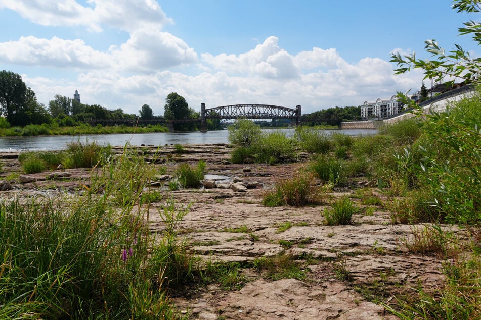 Am 10. Juli wurde der historisch niedrigste Wasserpegel der Elbe in Magdeburg gemessen.