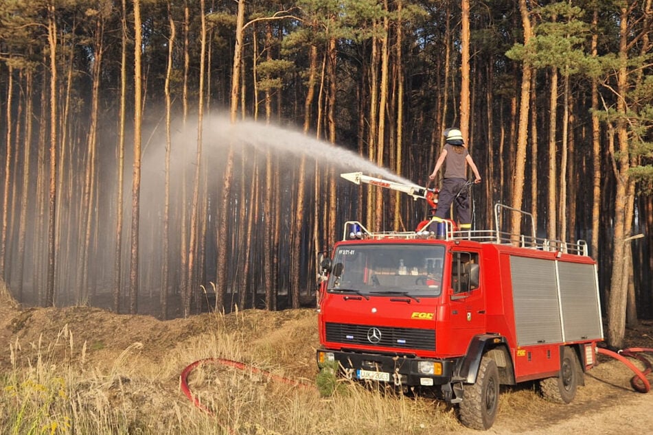 Rund 70 Feuerwehrleute waren laut Einsatzleitung vor Ort. Am Abend waren es noch etwa 60.