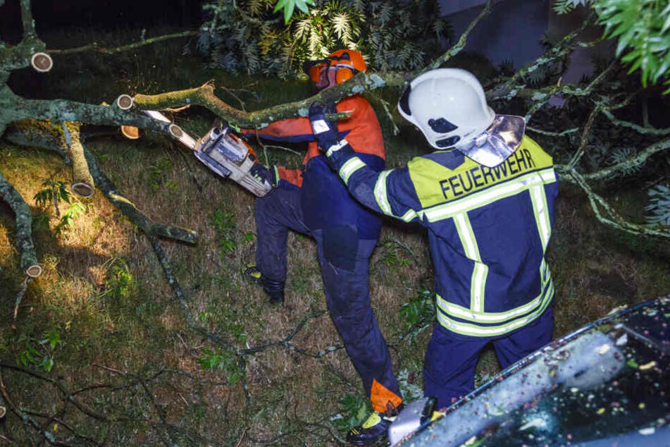 Feuerwehrmänner zersägen den auf das Auto gefallenen Baum.
