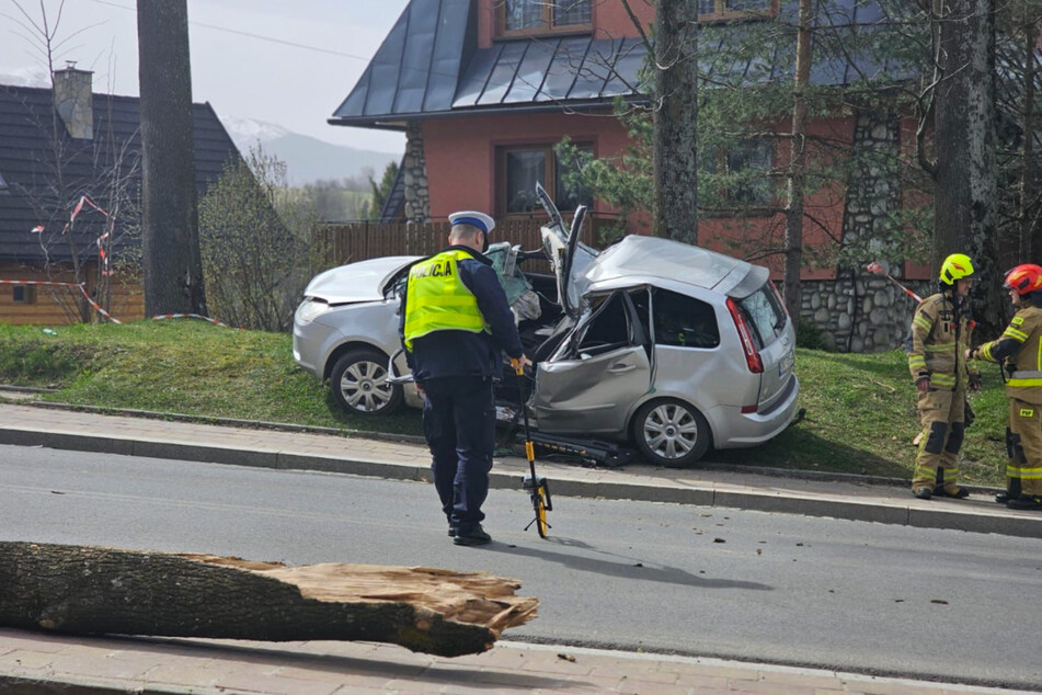 Das Auto einer 22-Jährigen wurde von einem Baum zerdrückt.