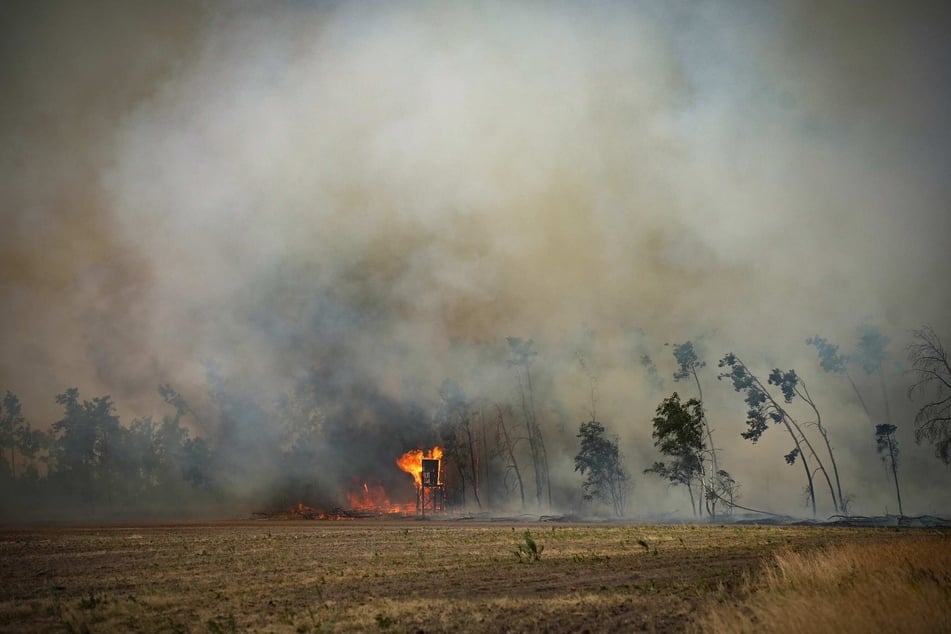 Das Feuer in der Gohrischheide im Landkreis Meißen ist außer Kontrolle.