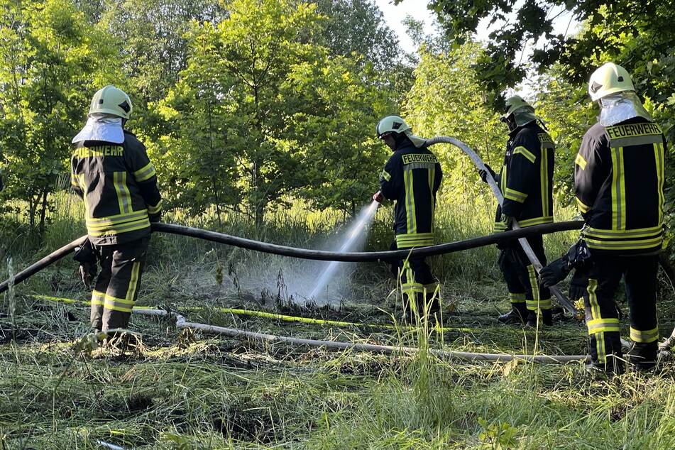 Brand auf Wald- und Wiesenfläche: Feuerwehreinsatz an Bundesstraße