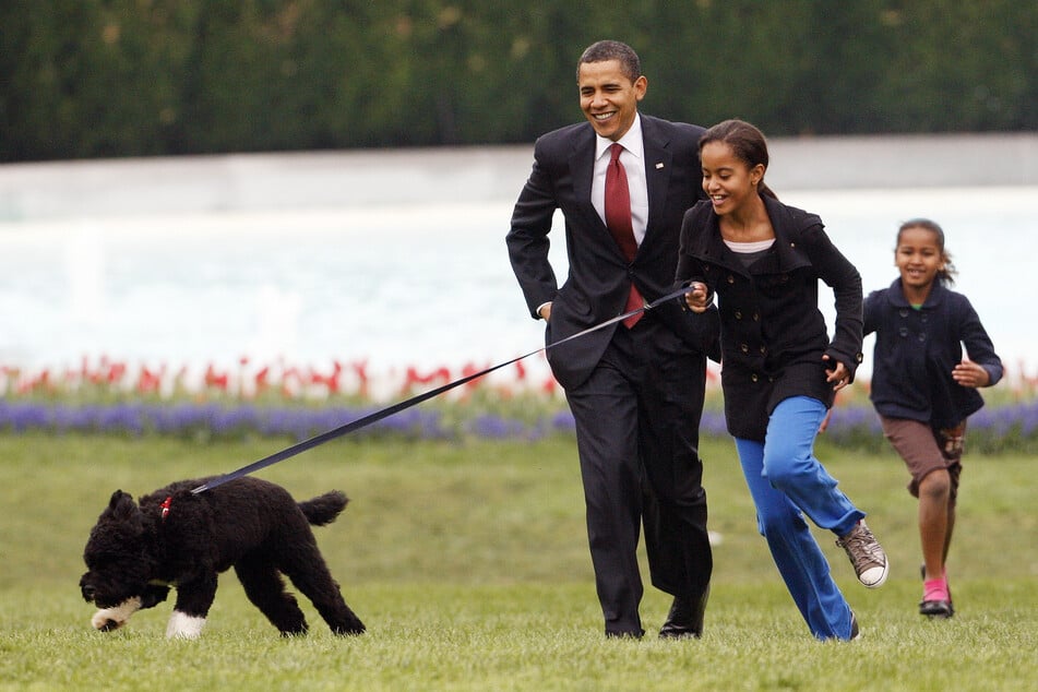 2009: Malia Obama läuft mit dem Portugiesischen Wasserhund Bo, gefolgt von damaliger US-Präsident Barack Obama und Sasha Obama, auf dem South Lawn des Weißen Hauses.
