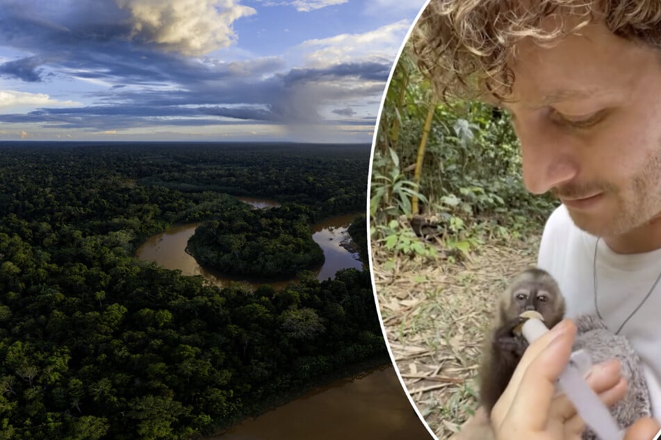 Malte Zierden (32) will in Peru ein Stück Regenwald kaufen und den Tieren überlassen.