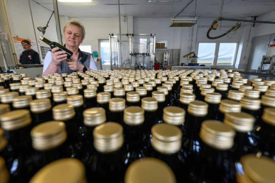 Sorgt sich wegen der Preisexplosion für Saaten um ihren Betrieb: Regine Jorga (68), die Chefin der Lausitzer Ölmühle, betrachtet an der Abfüllmaschine eine mit Leinöl gefüllte Flasche.